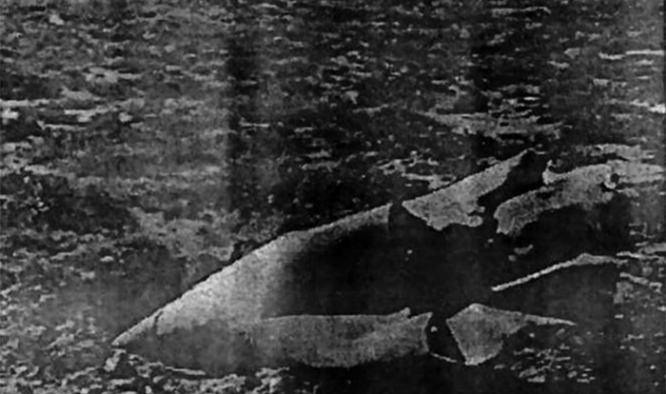 Обломки головной части МБР Р-12, уничтоженной ракетой В-1000 на полигоне Сары-Шаган в 1961 г.