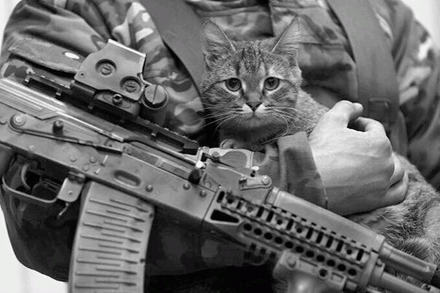 Однажды Игорь наткнулся на бездомного кота и приютил животное